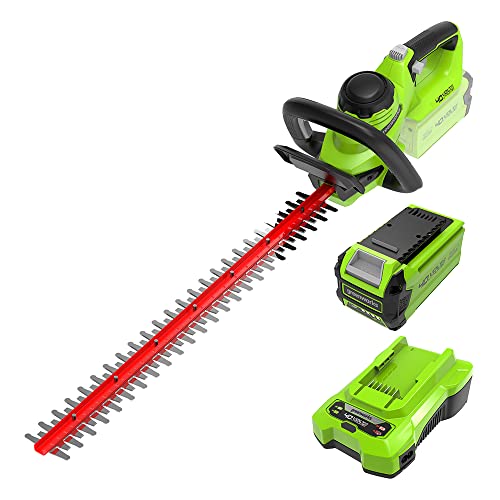 Greenworks G40HT61K2, Taille-Haie à Batterie, Lames Double Action 61 cm,