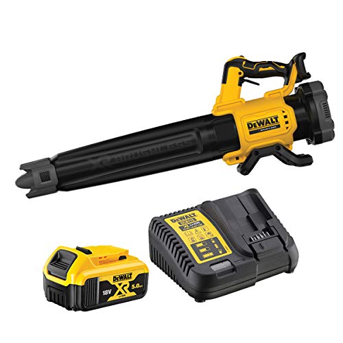 DEWALT DCMBL562P1-QW XR 18V 5Ah-200 km/h 1 Souffleur Sans Fil,